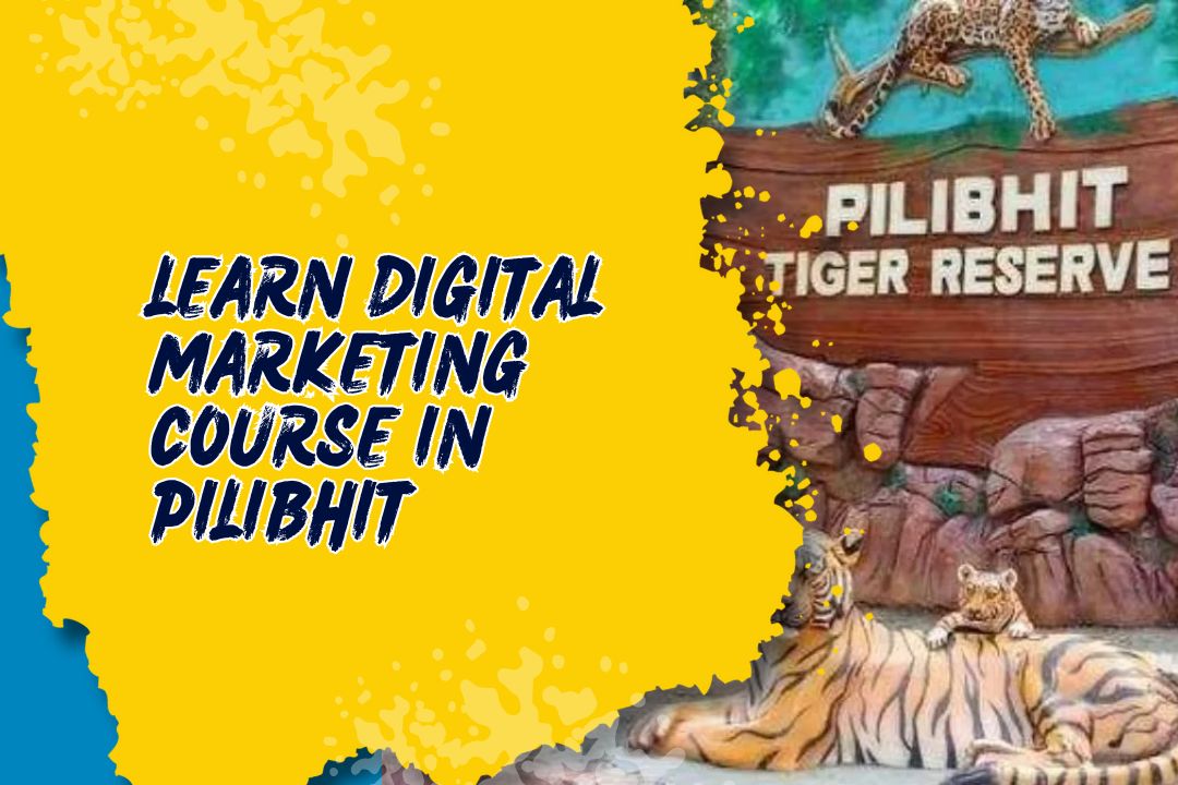 Best Digital Marketing Course in Pilibhit