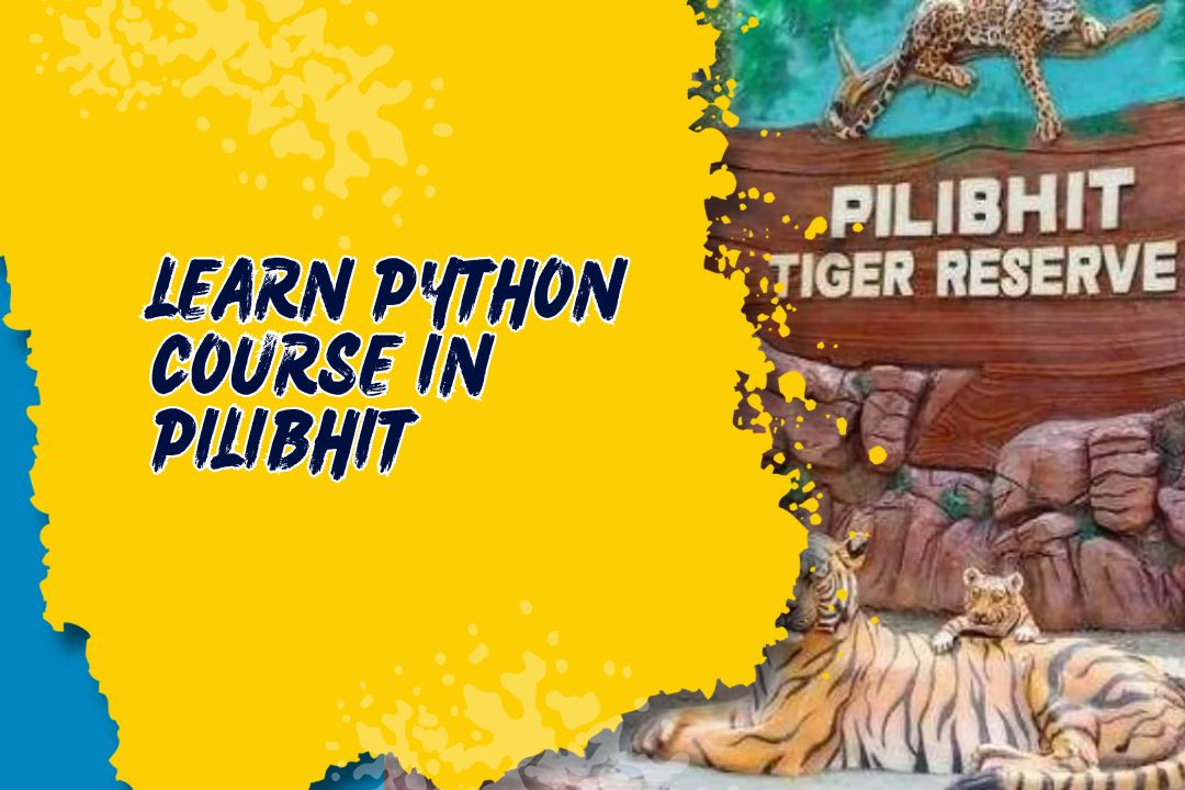 Best Python Course in Pilibhit